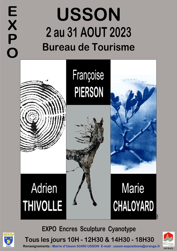 Site Affiche A.Thivolle-F. Pierson-M