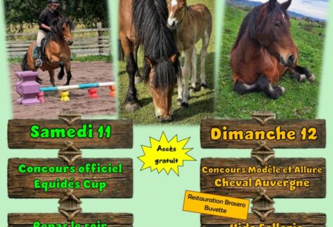 Affiche cheval en fete Usson 11 et 12 juillet 2026 page 0001 1 1